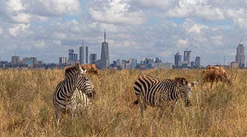 nairobi-04-nai