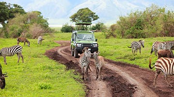 Ngorongoro-Crater-02-1