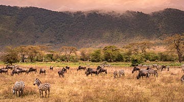 ngorongoro-crater-02-taxfa-2