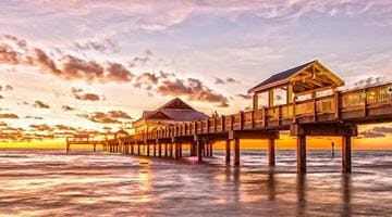 orlando-and-the-gulf-coast-15