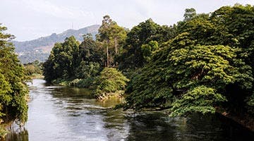 Peradeniya-01-iti-t