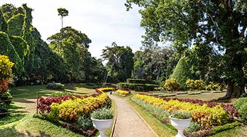 peradeniya-botanical-garden-esse
