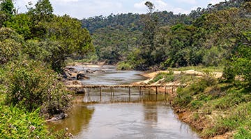 ranomafana-national-park-best