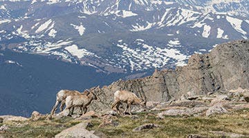 rocky-mountain-frontier-04