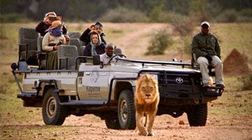 safari-sights-road-transfer-02-04
