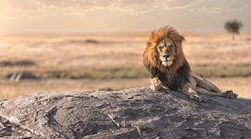 serengeti-national-park-01-tanfa3