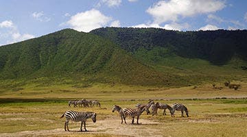 sky-safari-tanzania-classic-05
