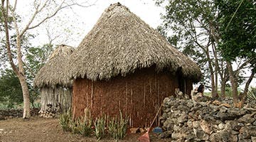 Sotuta-de-Peón-sy-t
