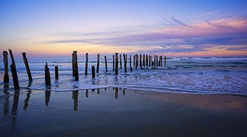 south-island-nature-trail-04