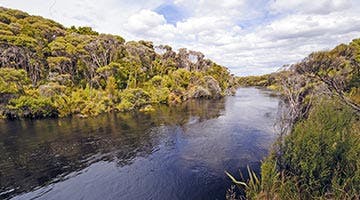 south-island-nature-trail-06