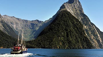 south-island-nature-trail-09