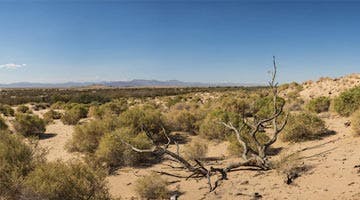 southern-california-highlight-08