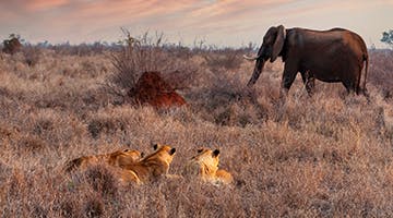 Swaziland-02-sg