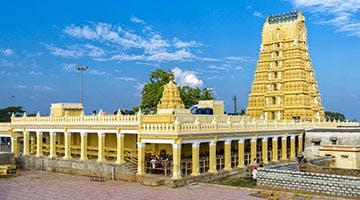 the-golden-chariot-pride-of-the-south-03