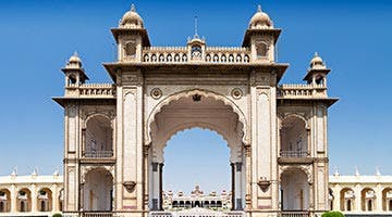the-golden-chariot-pride-of-the-south-05