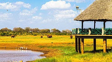 the-mombasa-rendezvous-02