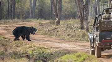 the-wild-and-rustic-india-04