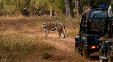 the-wild-and-rustic-india-05