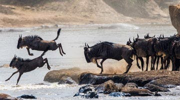 through-the-rift-valley-03