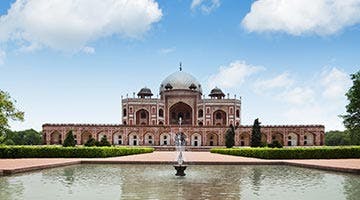 tigers-and-the-taj-03