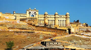 tigers-and-the-taj-04