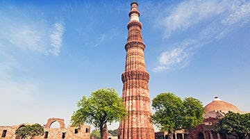 tigers-and-the-taj-10