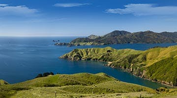 top-of-the-south-04