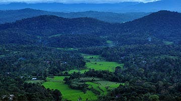 treasures-of-south-06