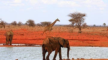 Tsavo-East-National-Park-03-4