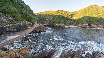 Tsitsikamma-01-iyi1