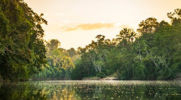 Upper-Amazon-Reserve-adv.