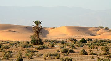 wadi-araba-glamo