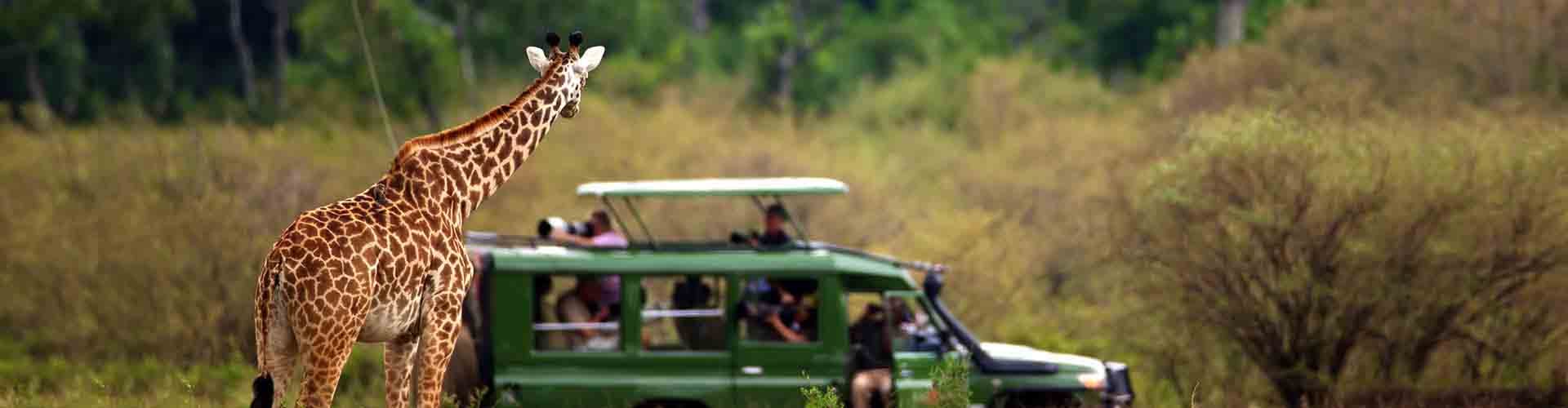 Tanzania Group Journeys