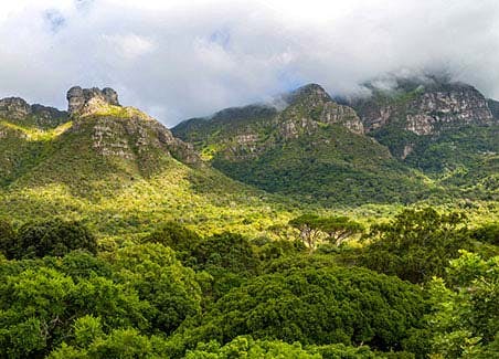 Spectacular Table Mountain and Kirstenbosch Gardens