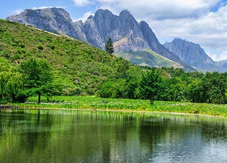 Franschhoek Motor Museum, Wine Tasting and Winelands Lunch Experience