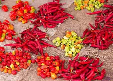 Zanzibar Spice Tour