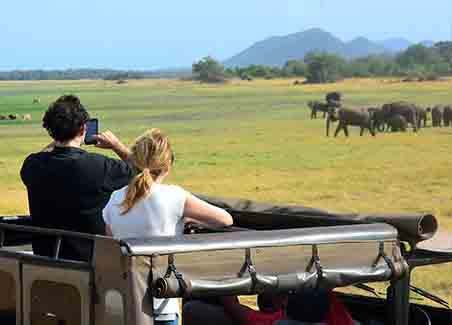 Serengeti Fly-in Safaris
