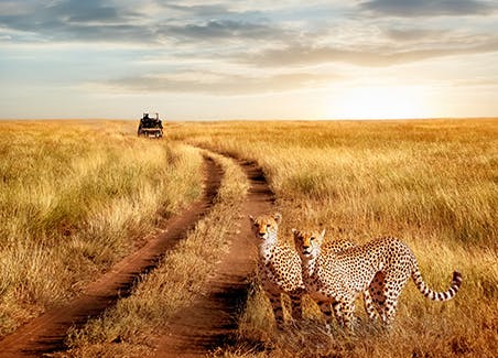 Earth, Sky and Wild Spaces