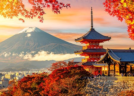 Japan Tour Sumo Special Autumn Journey 2026