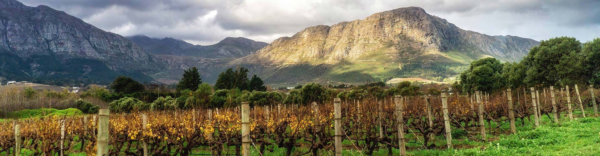 AH-franschhoek-motor-museum-wine-tasting-and-winelands-unch-03