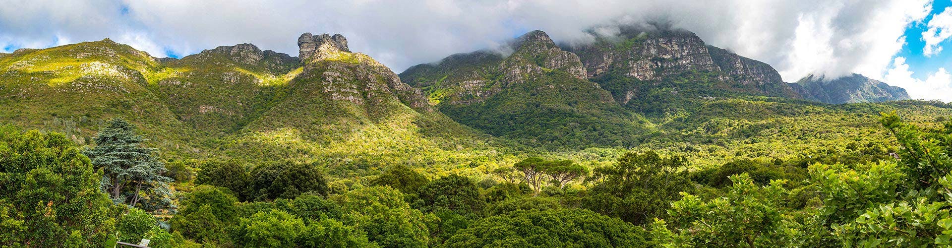 ah-spectacular-kirstenbosch-and-companys-gardens-03