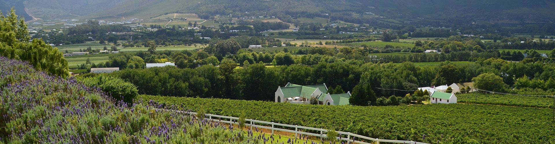 ah-winelands-bbq--and-wine-tasting-experience-01