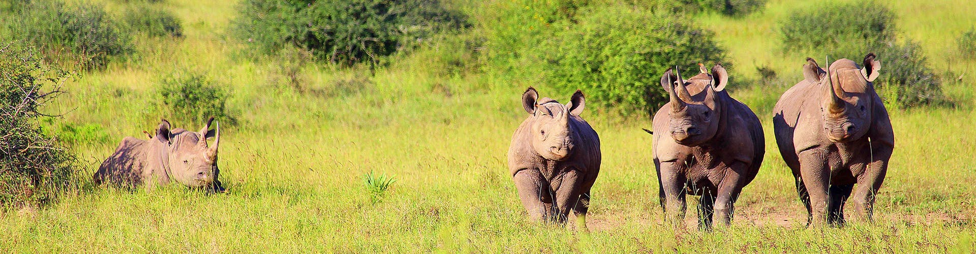 banner-03-earth-sky-ah