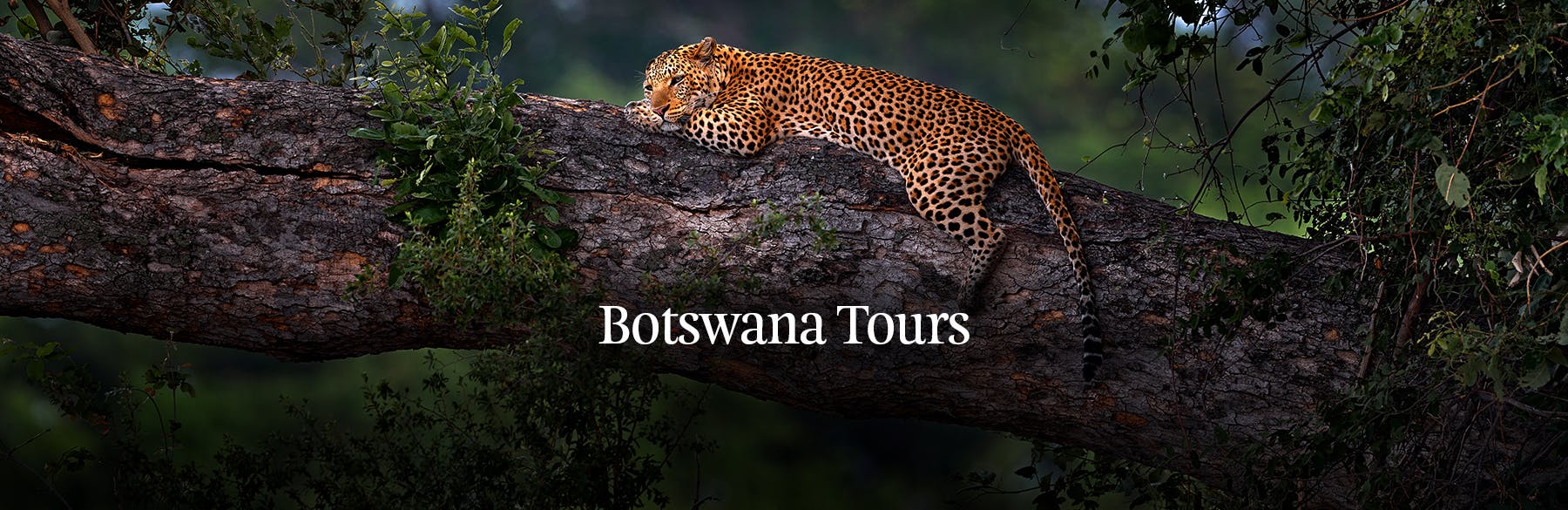 botswana-tour-ahhero