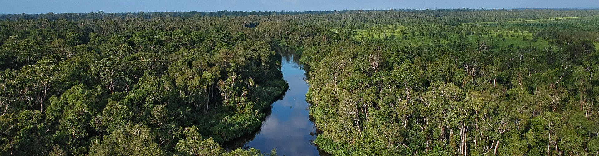 Camp-Leakey-01-ah-banner