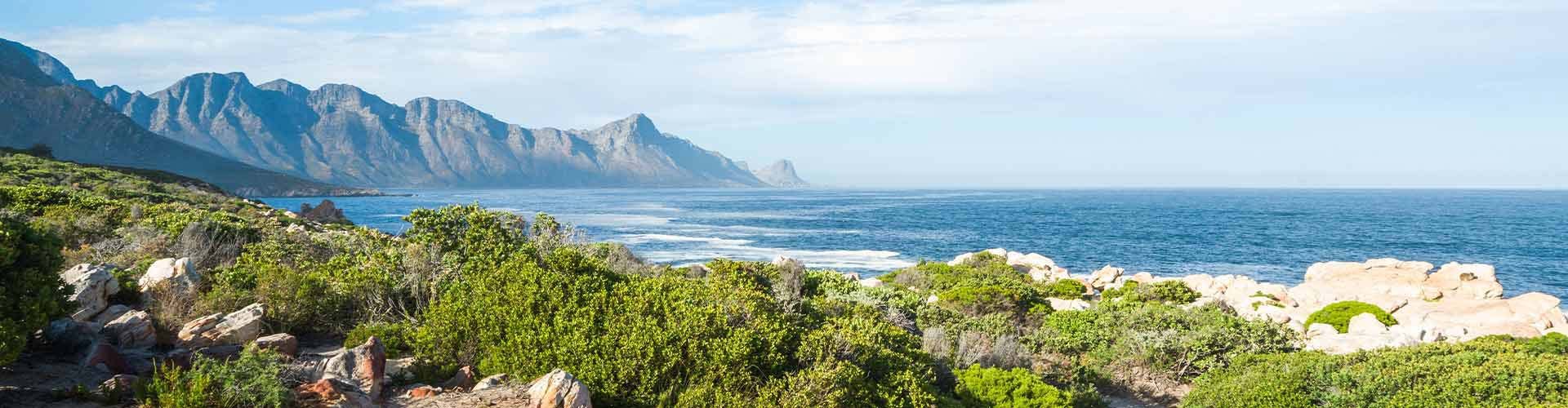 chauffeured_Sidecar_Whale_route_experience_02-ah-abner