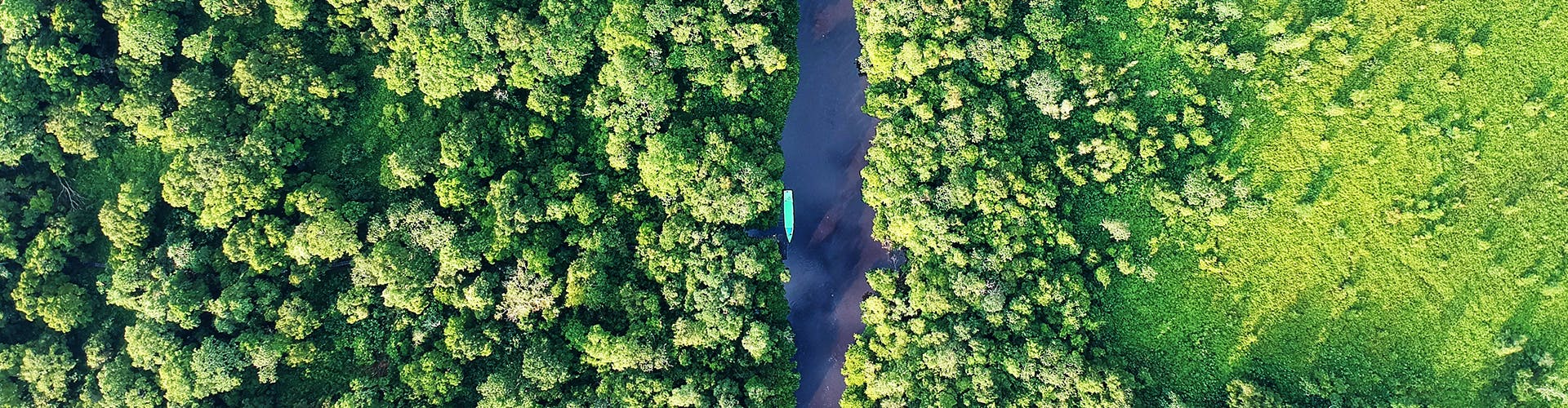 indonesia-banner-02-ah-junglw