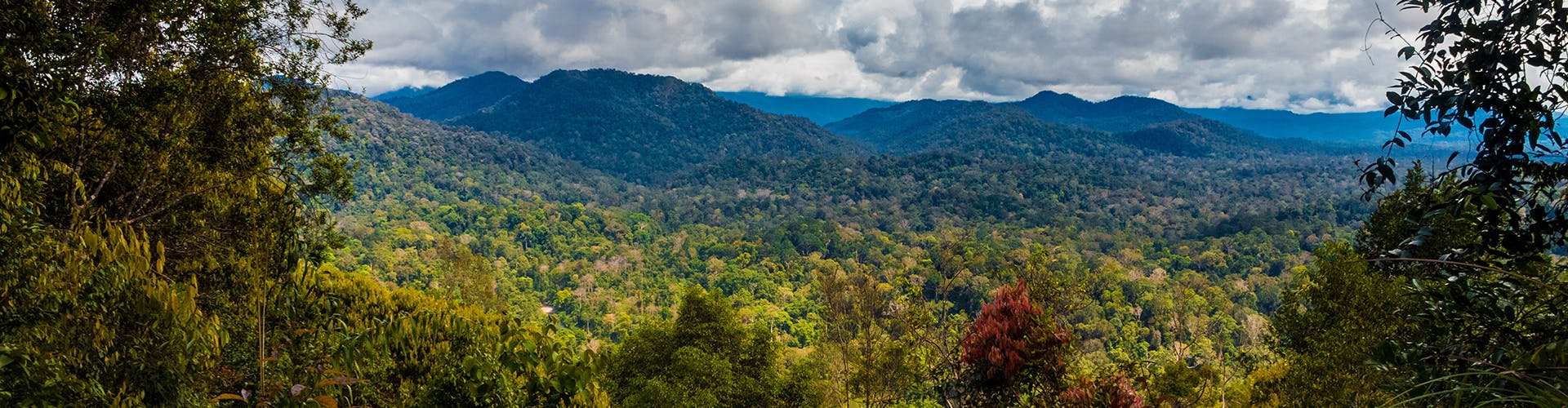 malaysia-banner-03-ah-banner-3