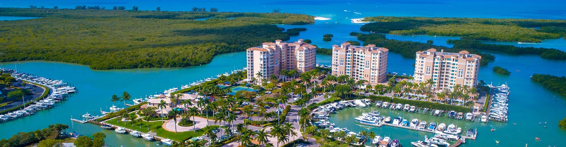 napple-01-ah-nyflo-banner