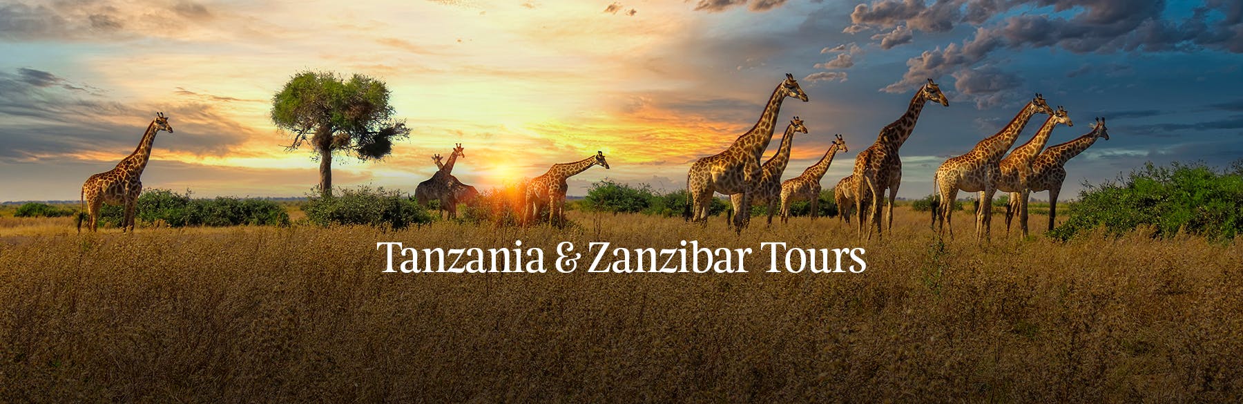 tanzania-and-zanzibar-tour-ah-hero